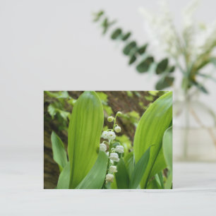 Carte Postale Lily de la Vallée