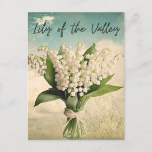 Carte Postale Lily de la vallée Mois de naissance Fleur Retro