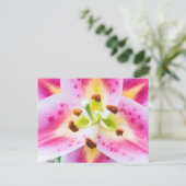 Carte Postale Lily en gros plan (Debout devant)