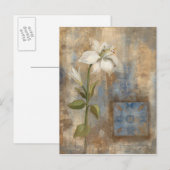 Carte Postale Lily et carreaux (Devant / Derrière)