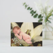 Carte postale Lily Flower Baby (Debout devant)