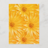 Carte Postale Lily jaune classe (Devant)