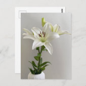 Carte Postale Lily Lullaby | Peinture florale simple blanche (Devant / Derrière)