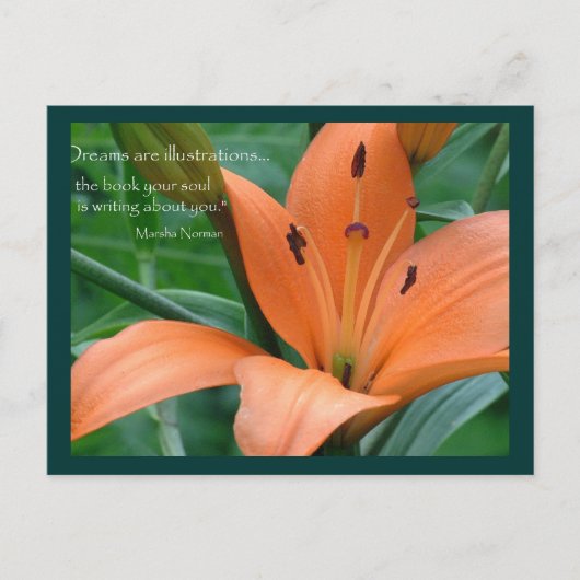 Carte Postale Lily orange (Devant)