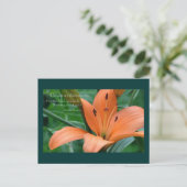 Carte Postale Lily orange (Debout devant)