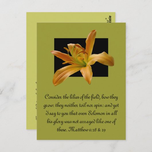 Carte Postale Lily orange de Larry (Devant / Derrière)