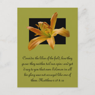 Carte Postale Lily orange de Larry