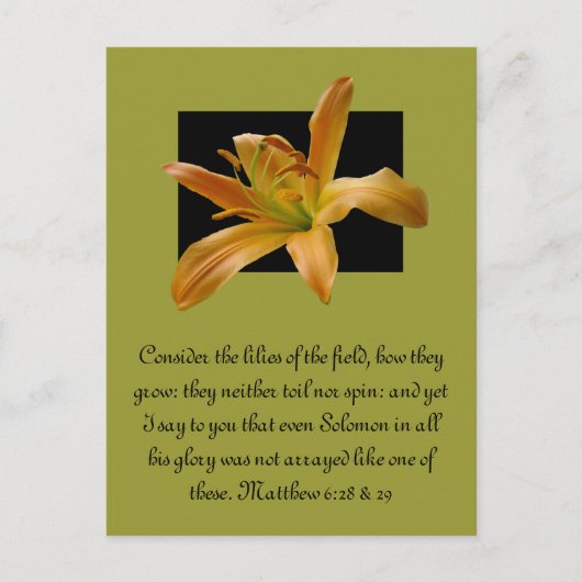 Carte Postale Lily orange de Larry (Devant)