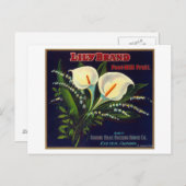 Carte Postale Lily Orange LabelExeter, CA (Devant / Derrière)