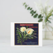 Carte Postale Lily Orange LabelExeter, CA (Debout devant)