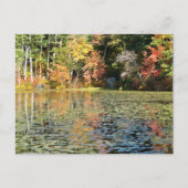 Carte Postale Lily Pad Cove sur Whitney Pond (Devant)