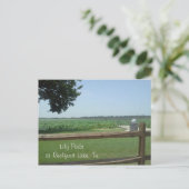 Carte Postale Lily Pads à Reelfoot Lake, Tn (Debout devant)