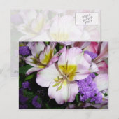 Carte Postale Lily péruvienne (Devant / Derrière)