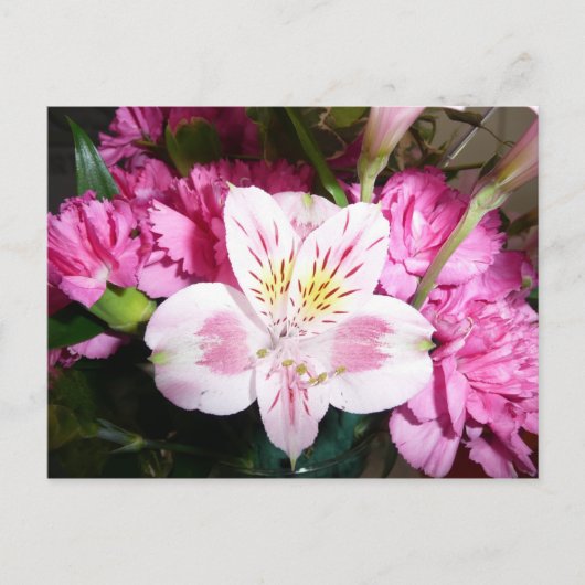 Carte Postale Lily péruvienne (Devant)