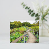 Carte postale Lily Pond (Debout devant)