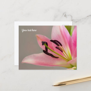 Carte postale Lily rose