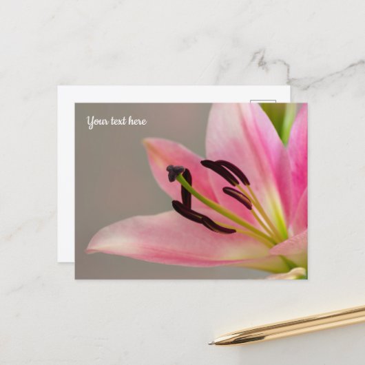 Carte postale Lily rose (Devant/Arrière en situation)