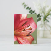 Carte postale Lily verticale (Debout devant)