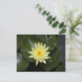 Carte Postale Lilypad (Debout devant)