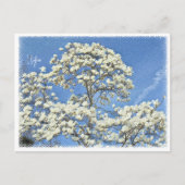 Carte Postale Lilytree (Devant)