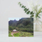 Carte Postale Limahuli Garden Champs Taro, Kauai (Debout devant)