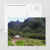 Carte Postale Limahuli Garden Champs Taro, Kauai (Devant / Derrière)