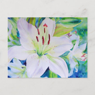 Carte Postale Lime Zest