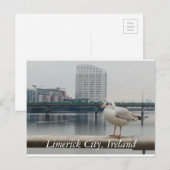 Carte Postale Limerick City, Irlande (Devant / Derrière)