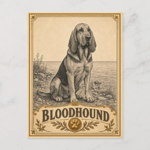 Carte Postale Limier, Chien du Patrimoine Ancien