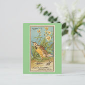 Carte Postale Limite de champ (Debout devant)