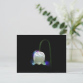 CARTE POSTALE LIMITE DE LA VALLÉE (Debout devant)