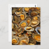 Carte Postale Limpets des Açores "lapas" (Devant / Derrière)