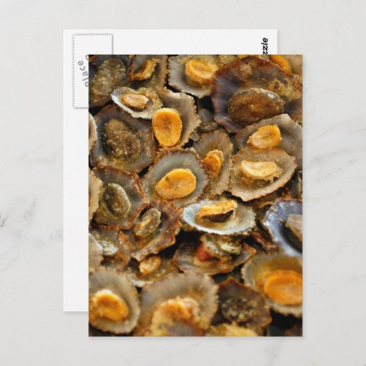 Carte Postale Limpets des Açores "lapas" (Devant / Derrière)