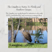 Carte Postale Limpkin - Learning Postcard - Floride (Devant / Derrière)