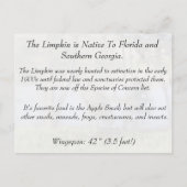 Carte Postale Limpkin - Learning Postcard - Floride (Dos)