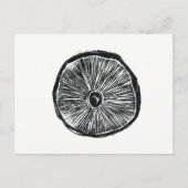 Carte postale - Lin de champignons (Devant)