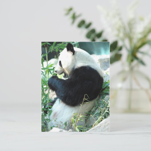 Carte Postale Lin Hui (Debout devant)