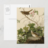 Carte Postale Lincoln Finch (Devant / Derrière)