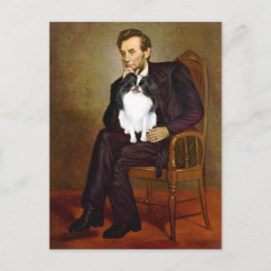 Carte Postale Lincoln - Japonais Chin 2