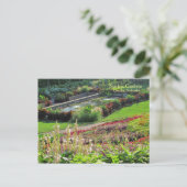 Carte Postale Lincoln, Nebraska Sunken Gardens #223 (Debout devant)