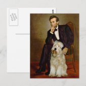 Carte Postale Lincoln - Wheaten Terrier 7 (Devant / Derrière)