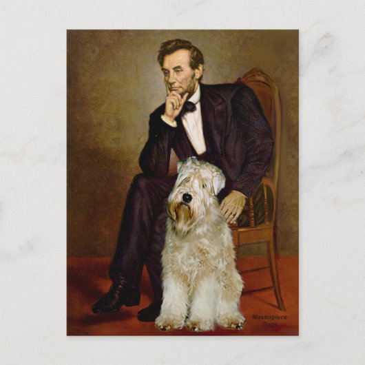 Carte Postale Lincoln - Wheaten Terrier 7 (Devant)