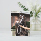 Carte Postale Linda Mimi par félicitations (Debout devant)