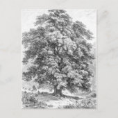 Carte Postale Linden Tree Black and White Antique Print (Devant)
