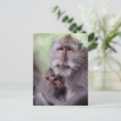 Carte Postale L'Indonésie, Bali, Ubud, Macaque Long-coupé la (Debout devant)