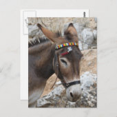 Carte Postale Lindos Donkey (Devant / Derrière)
