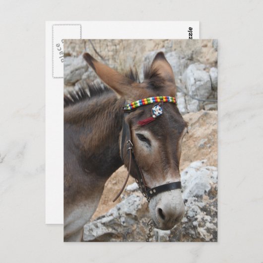 Carte Postale Lindos Donkey (Devant / Derrière)