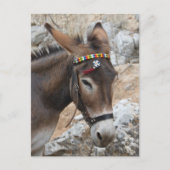 Carte Postale Lindos Donkey (Devant)