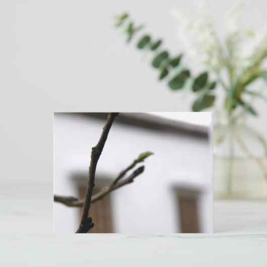 Carte Postale L'initiale (Debout devant)