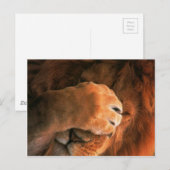 Carte Postale Lion (Devant / Derrière)